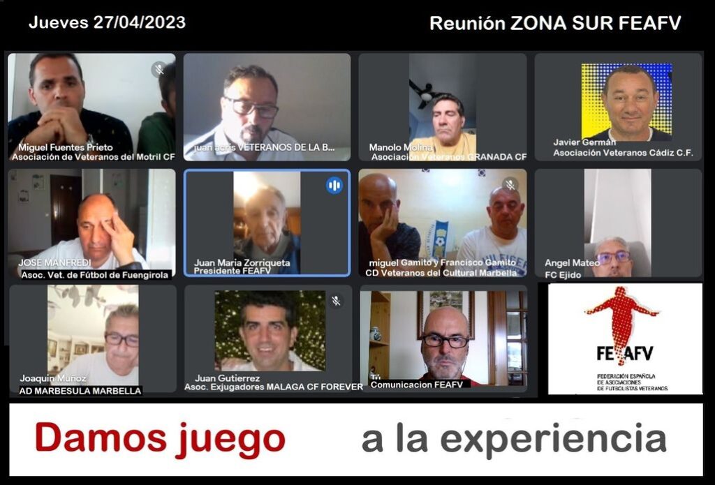 Reunion Telematica Zona Sur FEAFV 2023